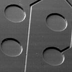 demonstrated results